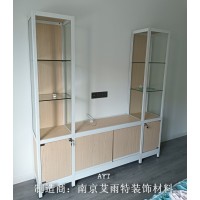 南京環(huán)保展示柜